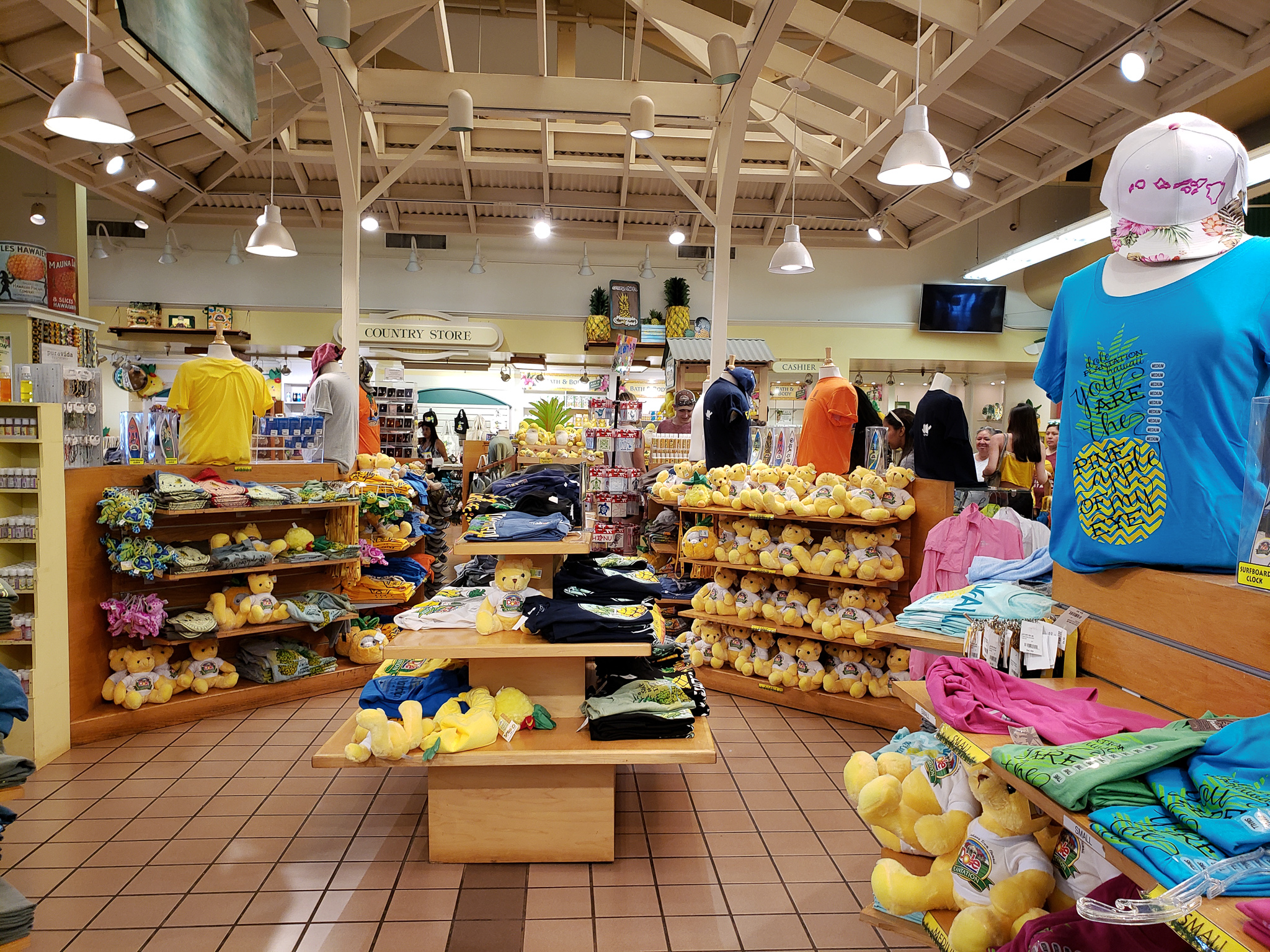 Visiting The Dole Plantation In Hawaii - Forever Lost In Travel