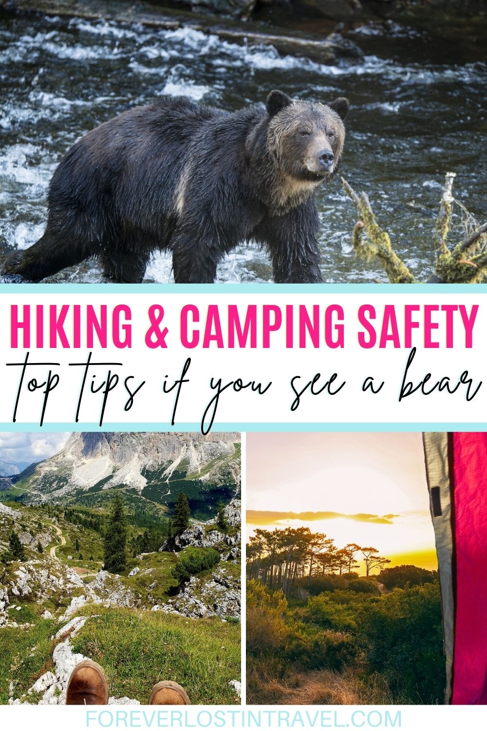 Bear Safety For Hiking And Camping This Summer - Forever Lost In Travel