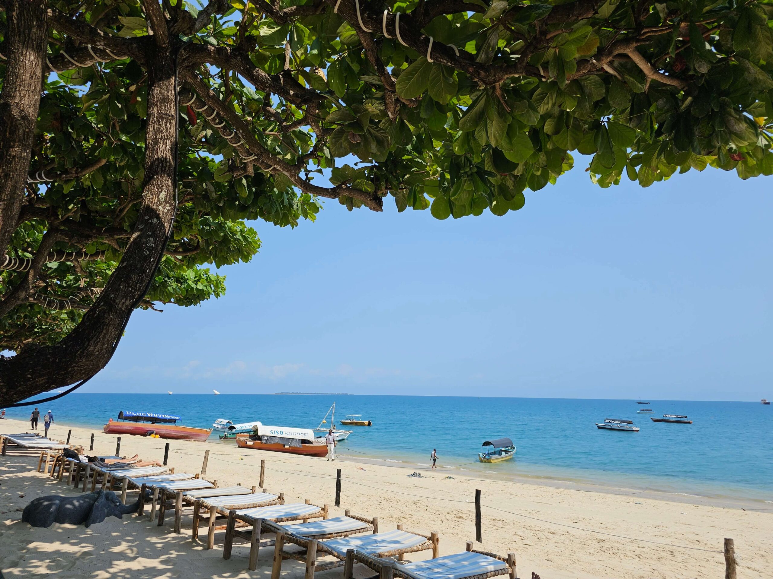 Top Things To Do In Stone Town, Zanzibar - Forever Lost In Travel